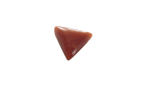 Natural Coral - Image 2