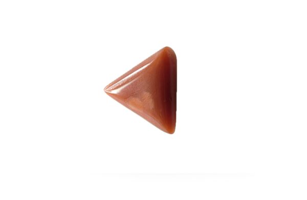 Natural Coral
