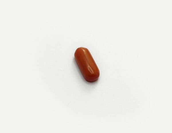 Natural Coral - Image 2